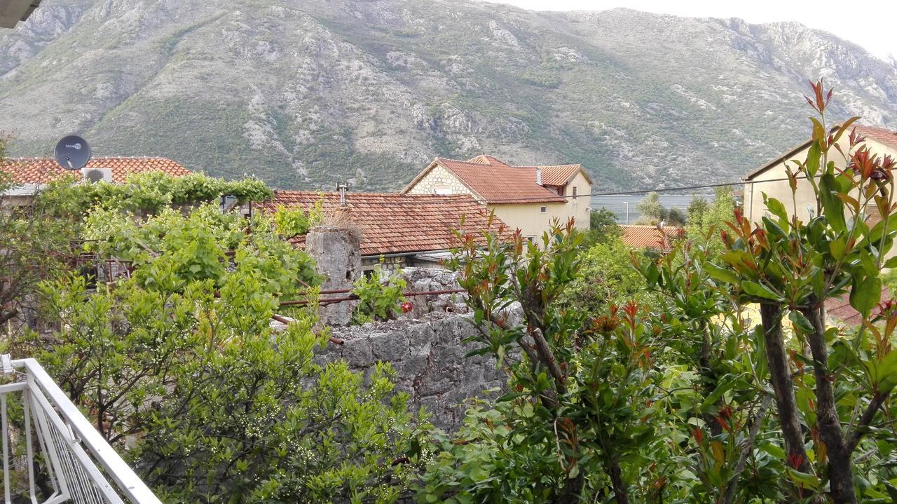 Apartments Penovic Kotor Zewnętrze zdjęcie